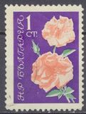 [Roses, タイプ APA]