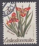 [Flowers, type CQP]