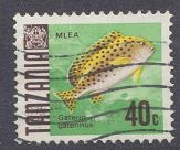 [Marine Life - Fish, type V]