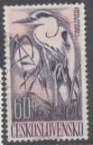 [Water Birds, タイプ ZB]