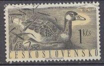 [Water Birds, タイプ ZC]