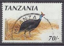 [Birds, tip ABV]