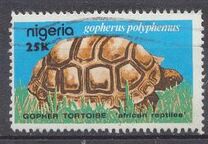 [African Reptiles, tegund OU]