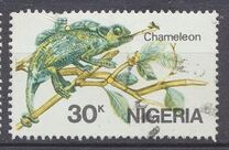 [African Reptiles, tegund OV]