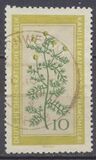 [Medicinal Plants, type OL]