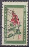 [Medicinal Plants, tegund OK]