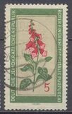 [Medicinal Plants, tegund OK]