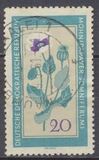 [Medicinal Plants, tegund ON]
