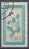 [Medicinal Plants, tegund ON]
