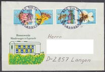 [Honey Bees, type DFR]