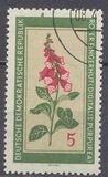 [Medicinal Plants, tegund OK]