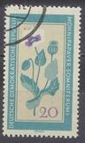 [Medicinal Plants, tegund ON]