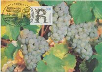 [The 500th Anniversary of the Viticulture of Riesling, प्रकार ATT]