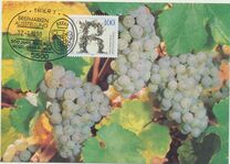 [The 500th Anniversary of the Viticulture of Riesling, प्रकार ATT]