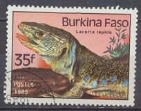 [Reptiles and Amphibians, tegund AJ]