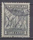 [Newfoundland Issue - New Colors and Values, tip DO2]