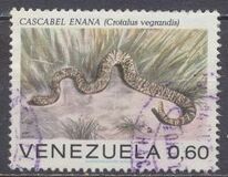 [Snakes, 类型 BUB]