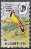 [Birds, tegund KZ]