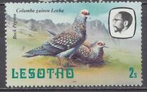 [Birds, tegund KX]