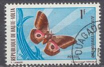 [Butterflies, type IY]