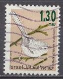 [Songbirds, Вид AUG]