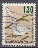 [Songbirds, Вид AUG]