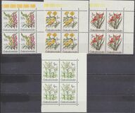 [Flowers, Tip CQN]
