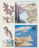 [European Nature Conservation, տեսակ BYD]