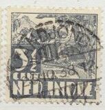 [Rice Field, Tip AI8]