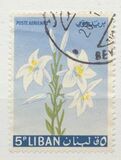 [Airmail - Flowers, type KS]