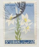 [Airmail - Flowers, type KS]
