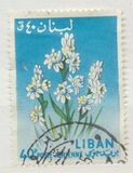 [Airmail - Flowers, type KV]