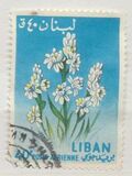 [Airmail - Flowers, type KV]