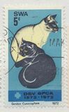 [The 100th Anniversary of Animal Welfare Association, տեսակ DM]