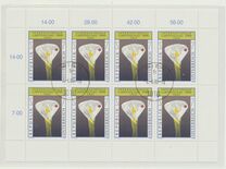 [International Gardening Exhibition, Scrivi BTL]