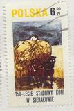 [The 150th Anniversary of Horse Riding in Sieraków, タイプ CGX]