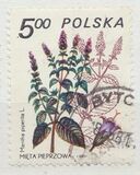 [Therapeutic Plants, type CIL]