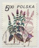 [Therapeutic Plants, type CIL]