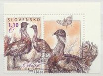 [Birds - Great Bustard, प्रकार VK]