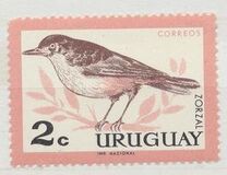 [Birds, type PE]