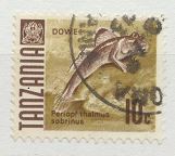 [Marine Life - Fish, tip R]