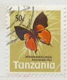 [Butterflies, type AM]