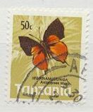 [Butterflies, type AM]