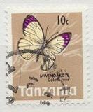[Butterflies, type AH]