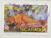 [Wild Animals, tyyppi AOL]