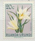 [Definitive 1953 - Flora of the Colony - (Perf. 11½), type AY]