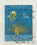 [Definitive Issue, 類型 ID]