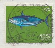 [Fish, type F]