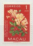 [Indigenous Flowers, тип CI]
