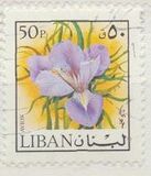 [Airmail - Flowers and Fruits, tegund TQ]